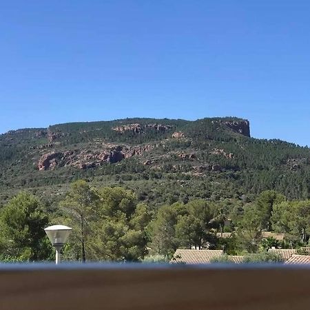 Au Pied Des Gorges Du Blavet Et A 20Min Des Plages Roquebrune-sur Argens Εξωτερικό φωτογραφία