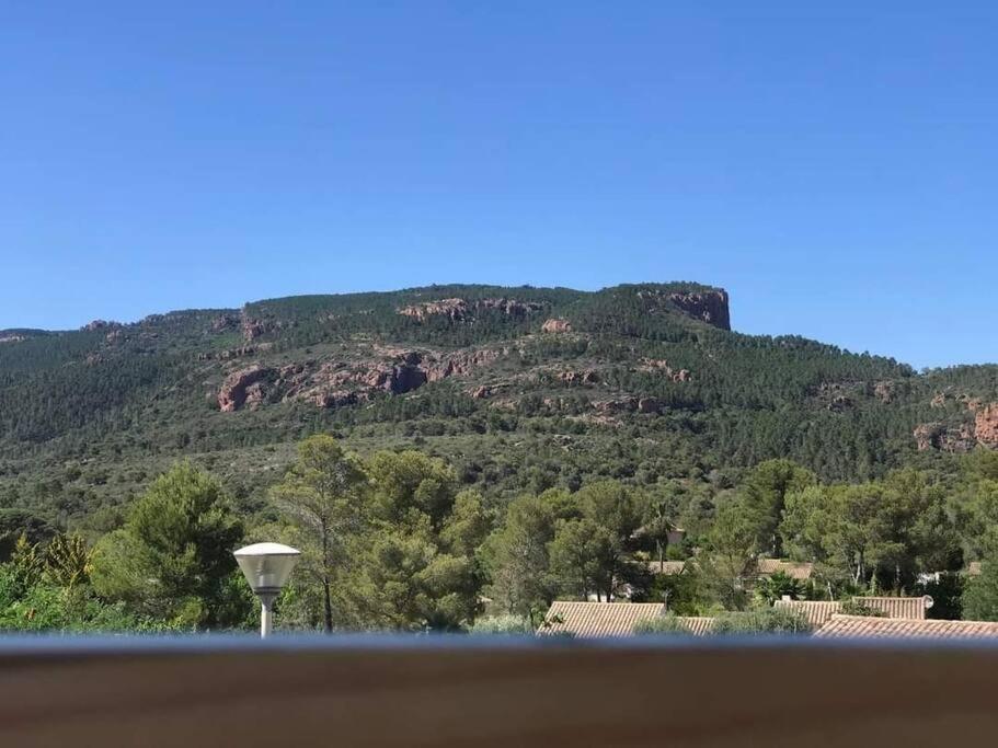 Au Pied Des Gorges Du Blavet Et A 20Min Des Plages Roquebrune-sur Argens Εξωτερικό φωτογραφία